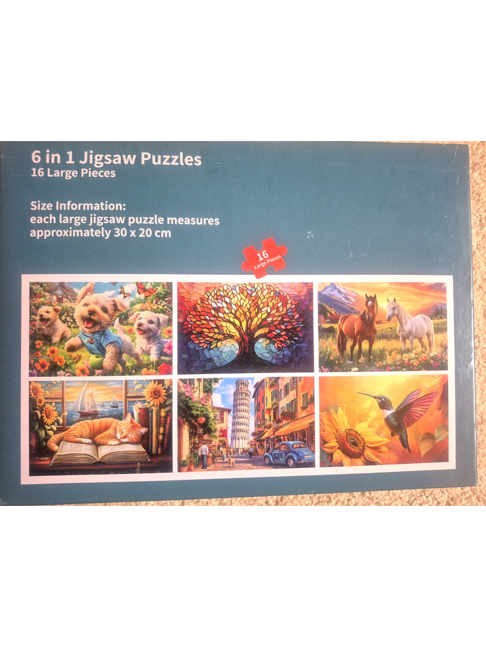 Biarek 6 Pack 16 Large Piece Puzzle for Seniors, Alzheimer's, Dementia ~ 8 x 12